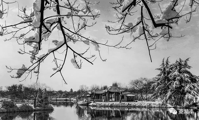 說好的暴雪傾城，是這樣嗎？